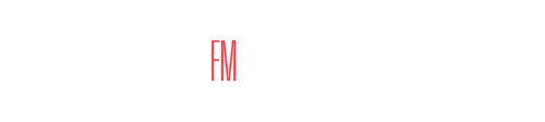 media partners copy
